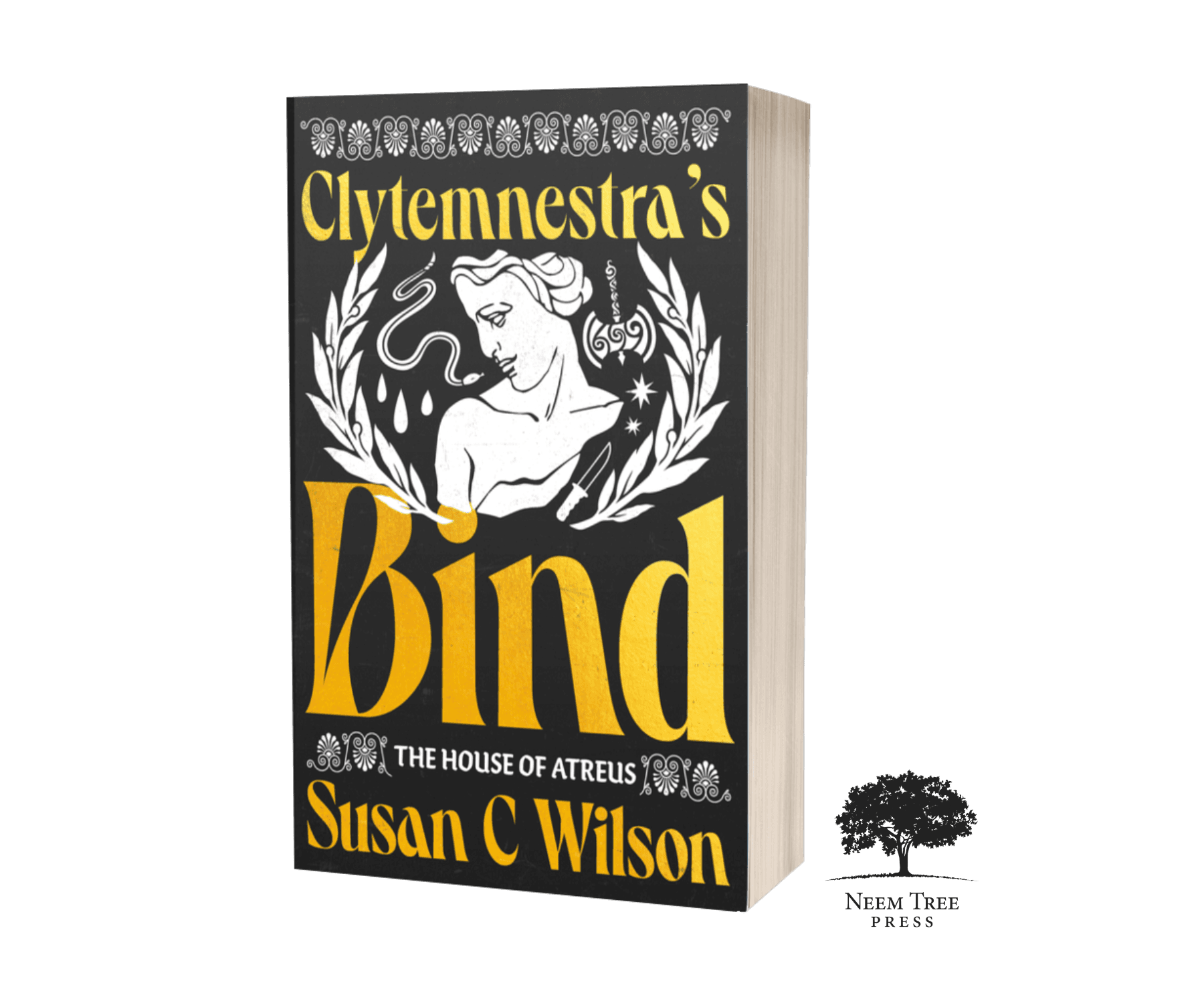 The House of Atreus: Clytemnestra’s Bind Paperback